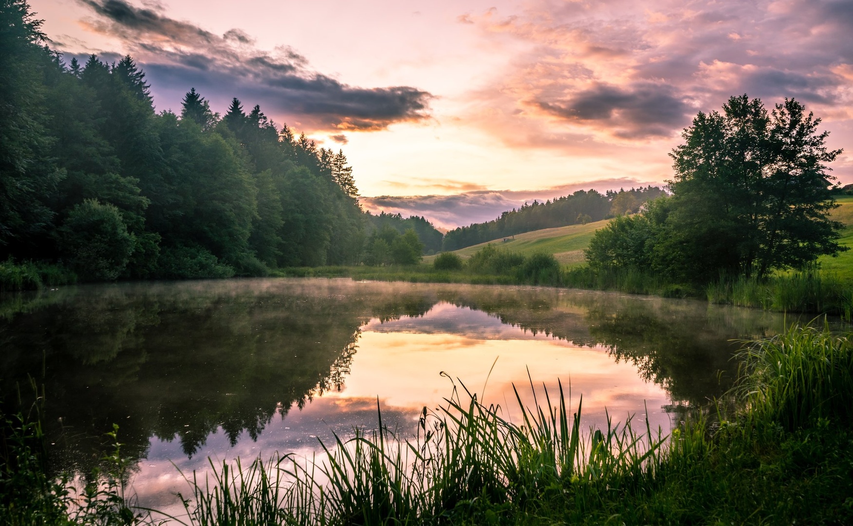 Barvna ekplozija by Matic Žižek