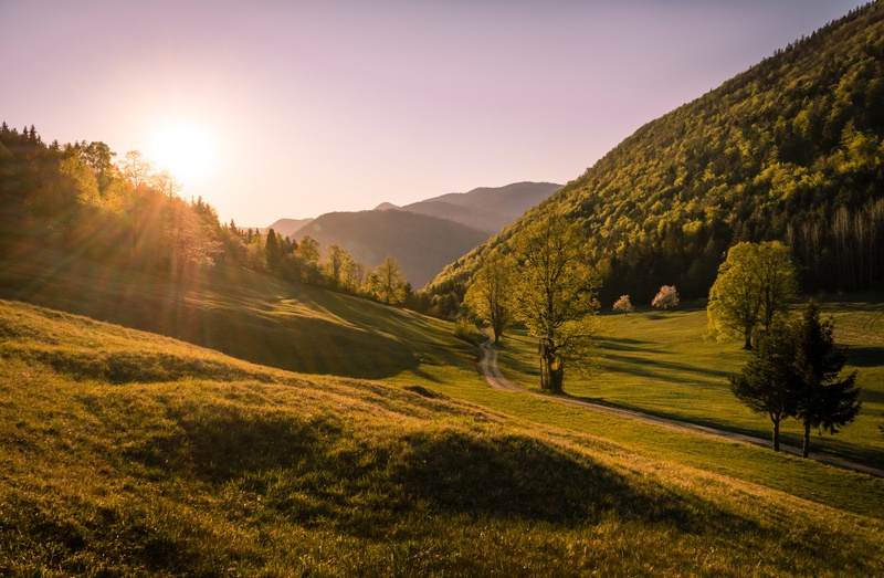 Polje svetlobe by Matic Žižek