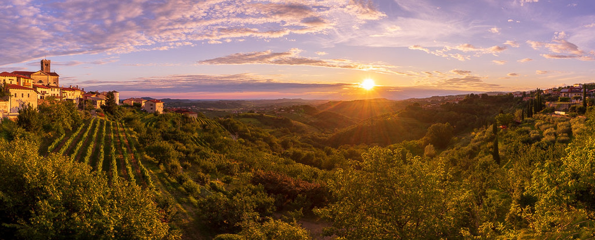 Goriška Brda by Matic Žižek