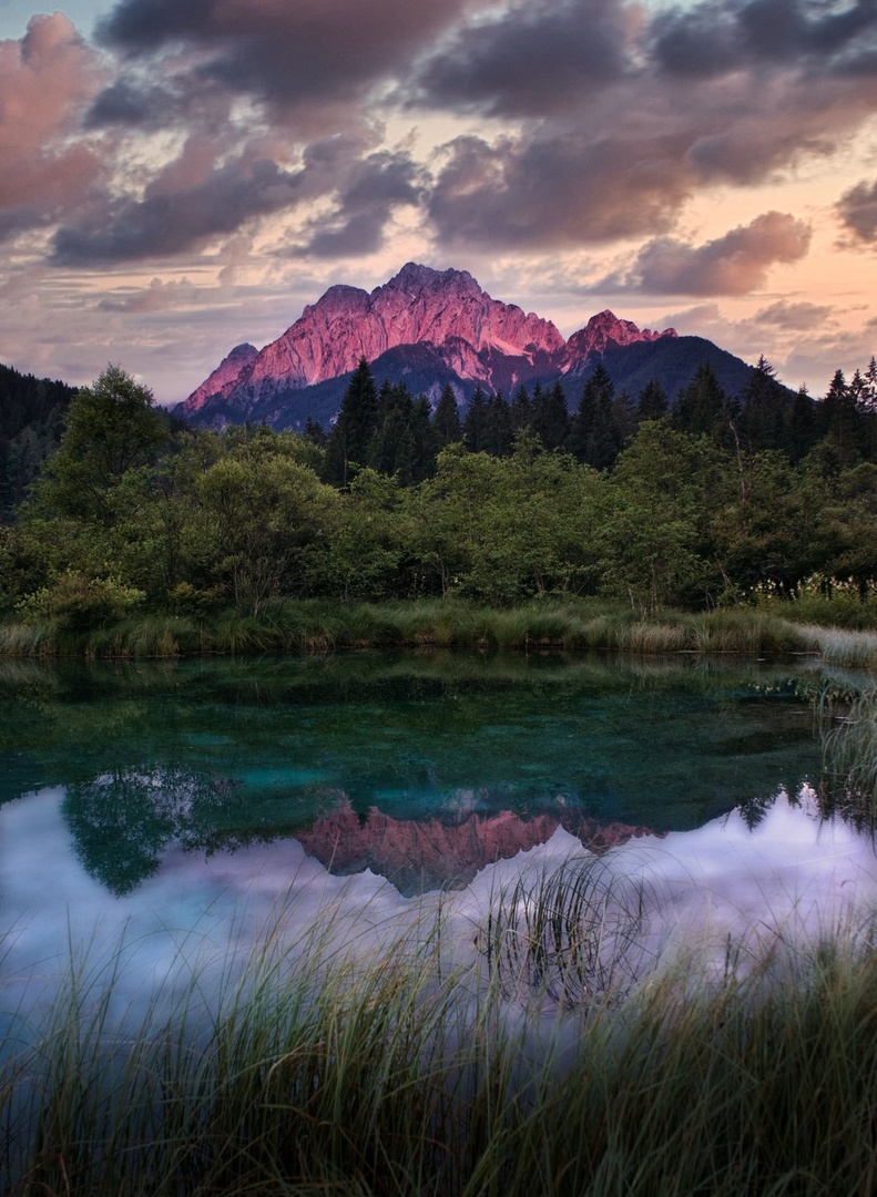 Zelenci by Matic Žižek