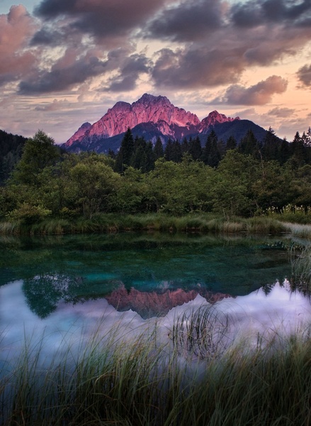 Zelenci by Matic Žižek