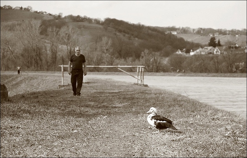 Grdi mali raček by bor