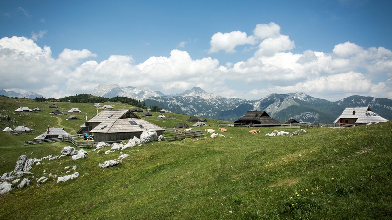 Poletje na Veliki planini by Amir Tokić