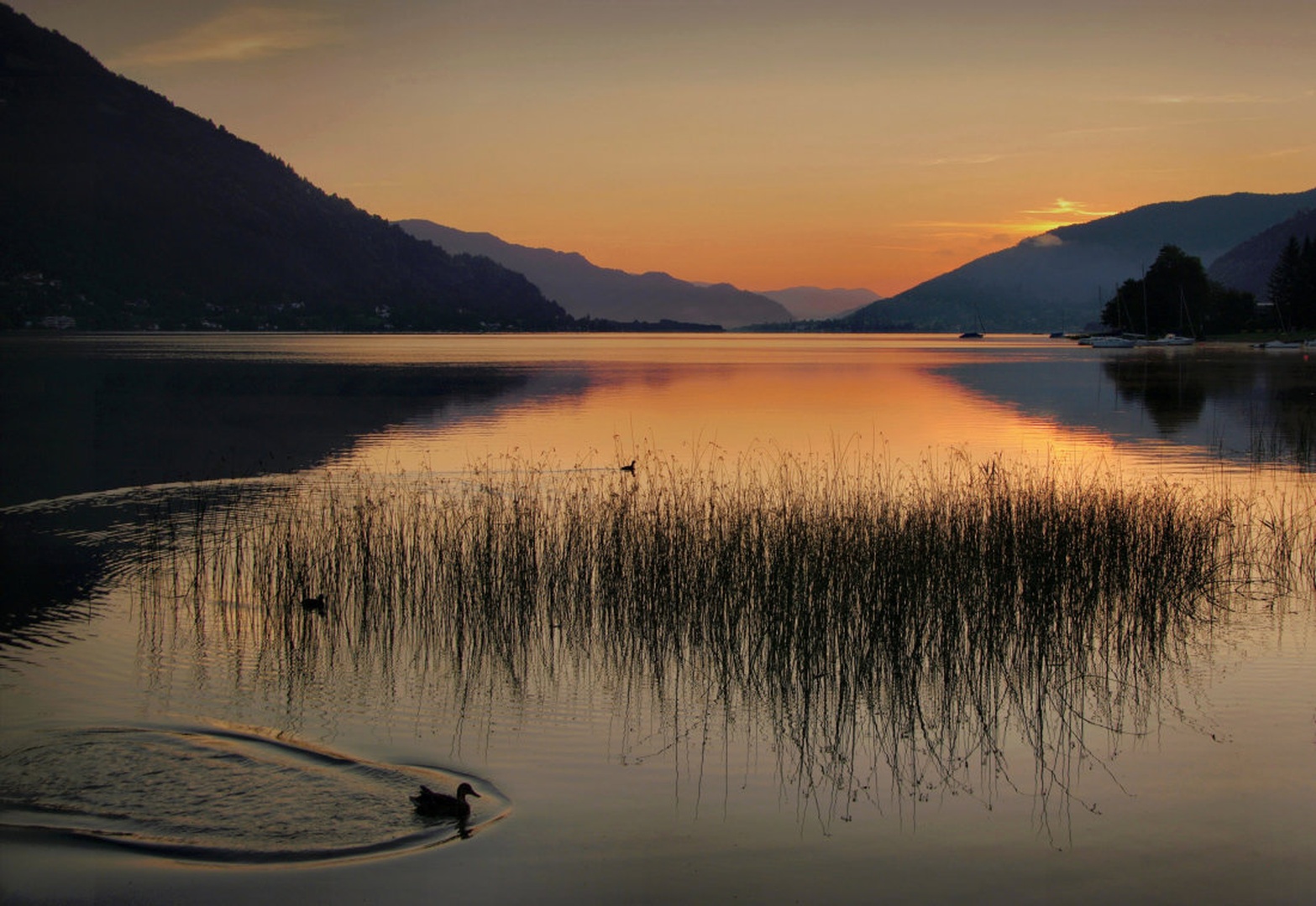 Osojsko jezero by Darko Geršak