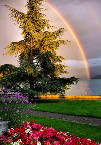 Rainbow by Darko Geršak