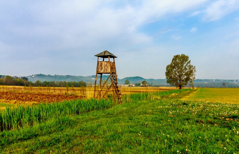 Preža by BrankoR
