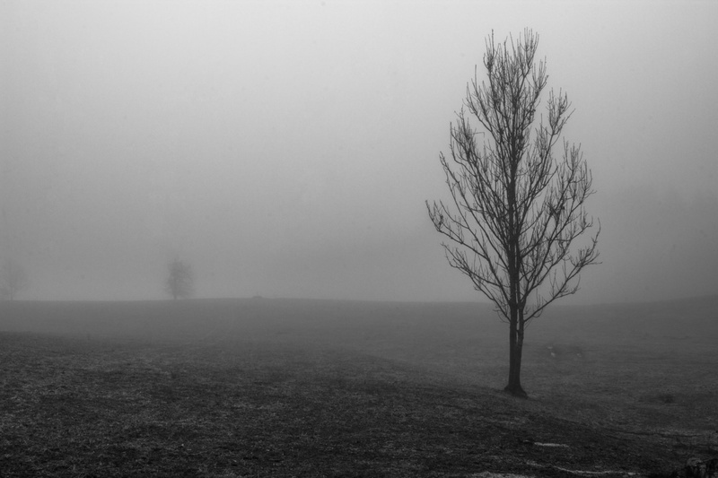 Dead Memories by Luka Šmigoc