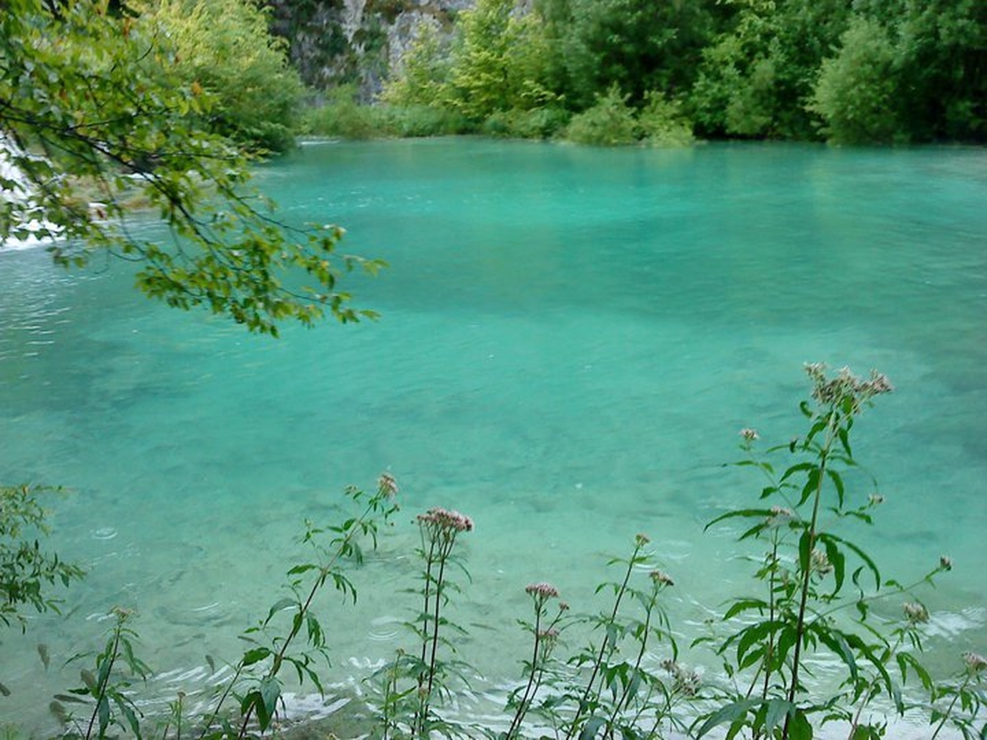 Plitvička jezera by Sara Markač