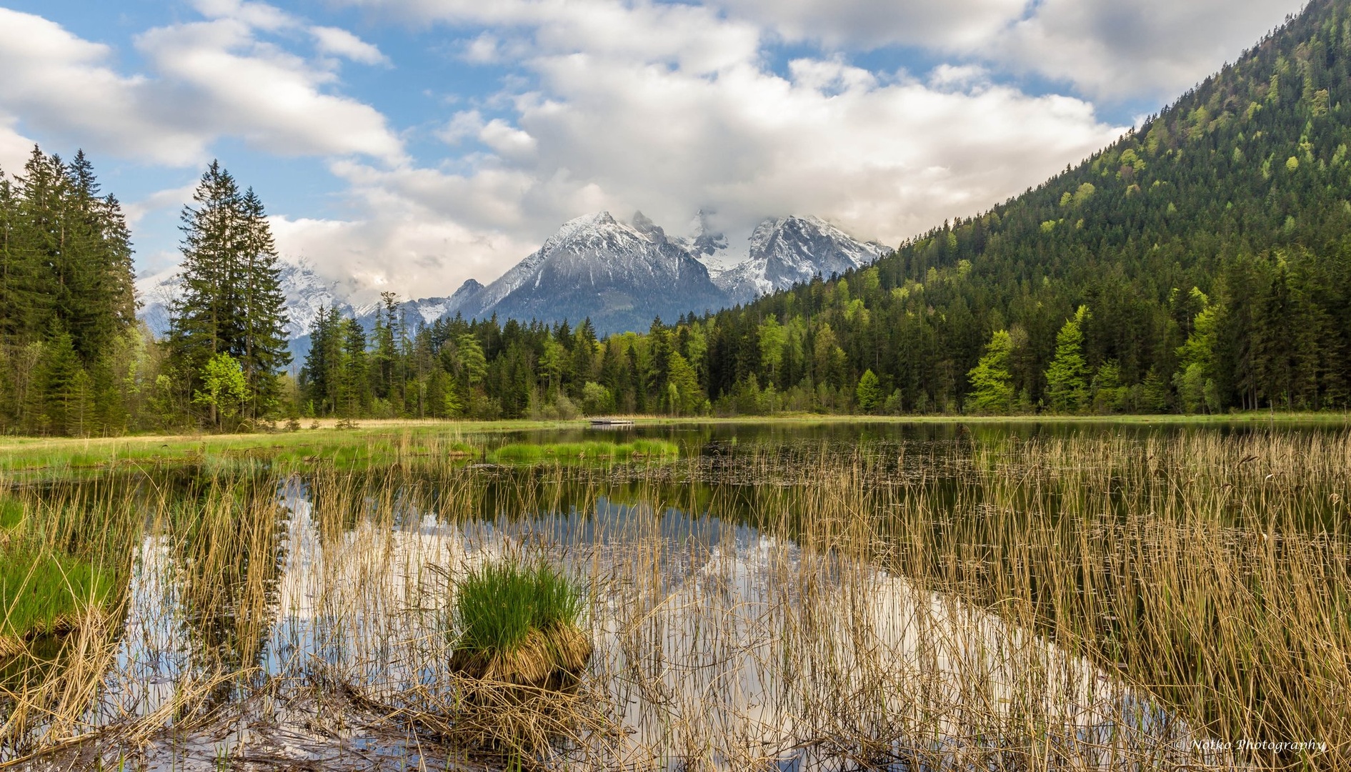 Taubensee v pomladnem stilu by notko