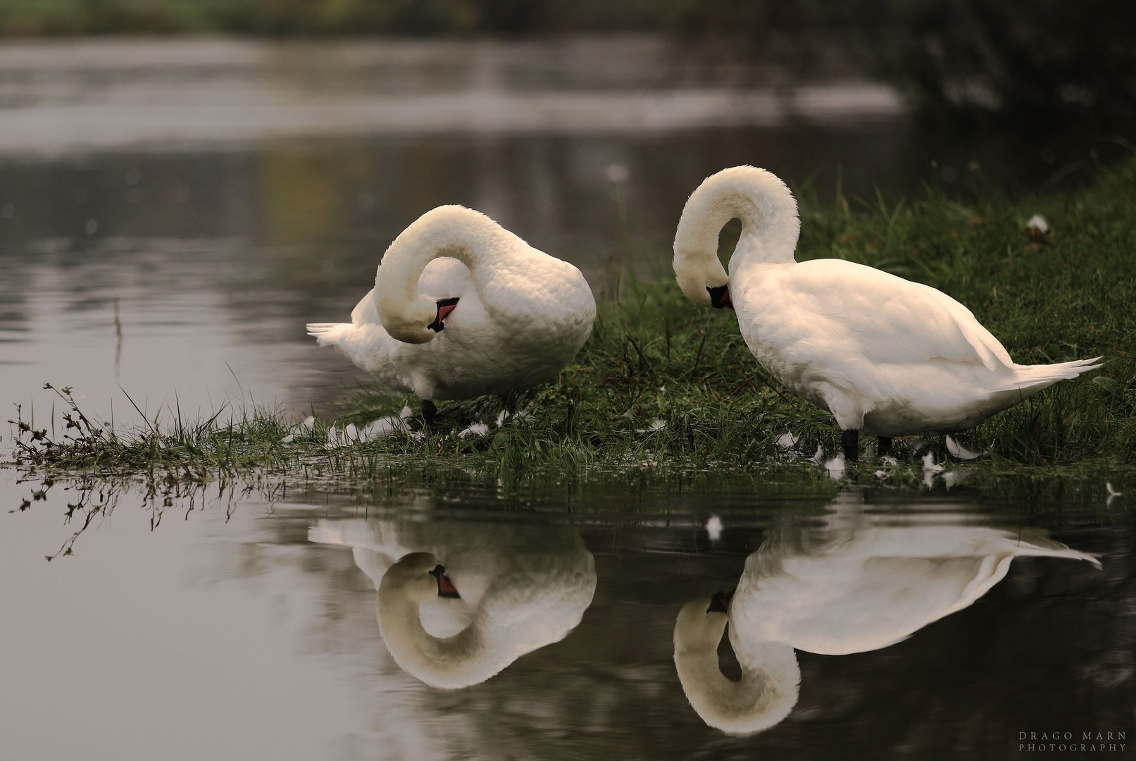 Po kosilu.... by Drago