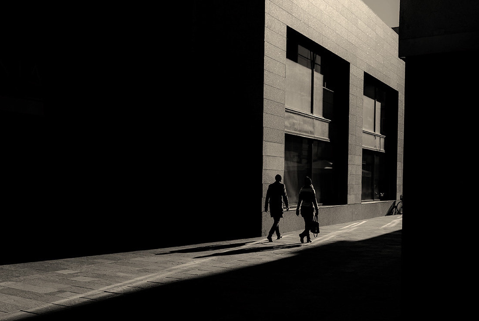 Noir by perweez