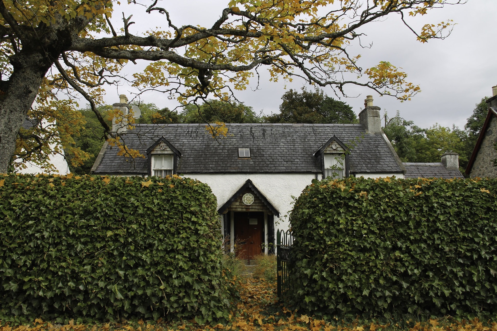 House. by Jakob Noč
