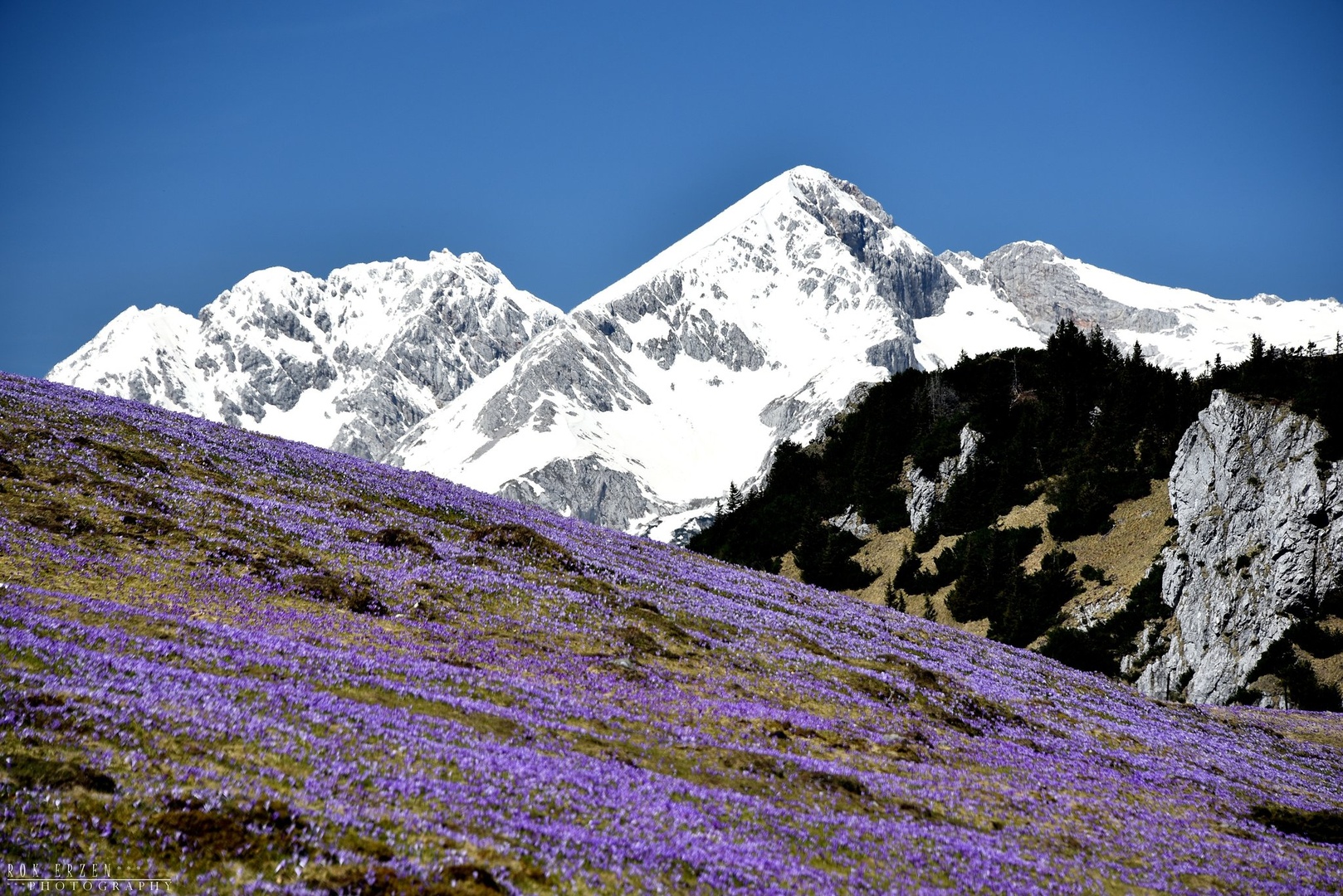 Pomlad by Rok Eržen