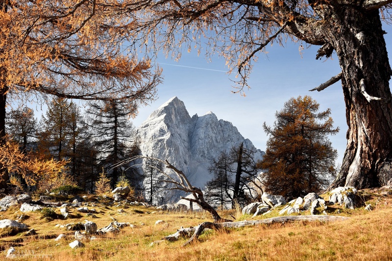 Jalovec 2645 m by Rok Eržen