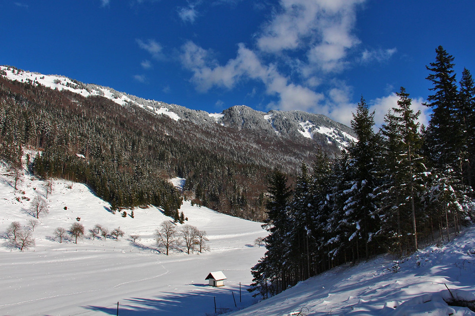Tolsti vrh by Mark Per