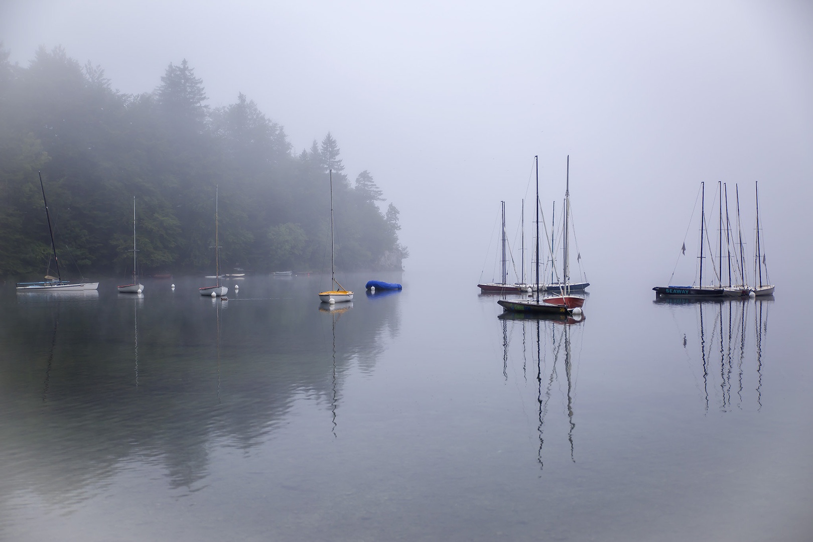 Megleno jutro v Bohinju by Mark Per