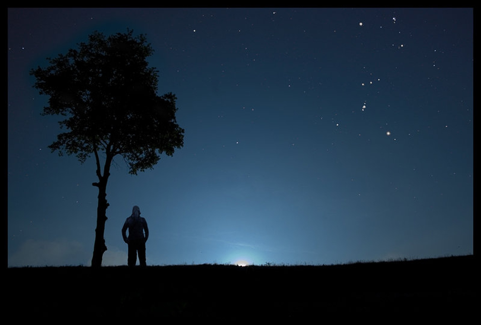 MoonRise, NightDog by dobran L