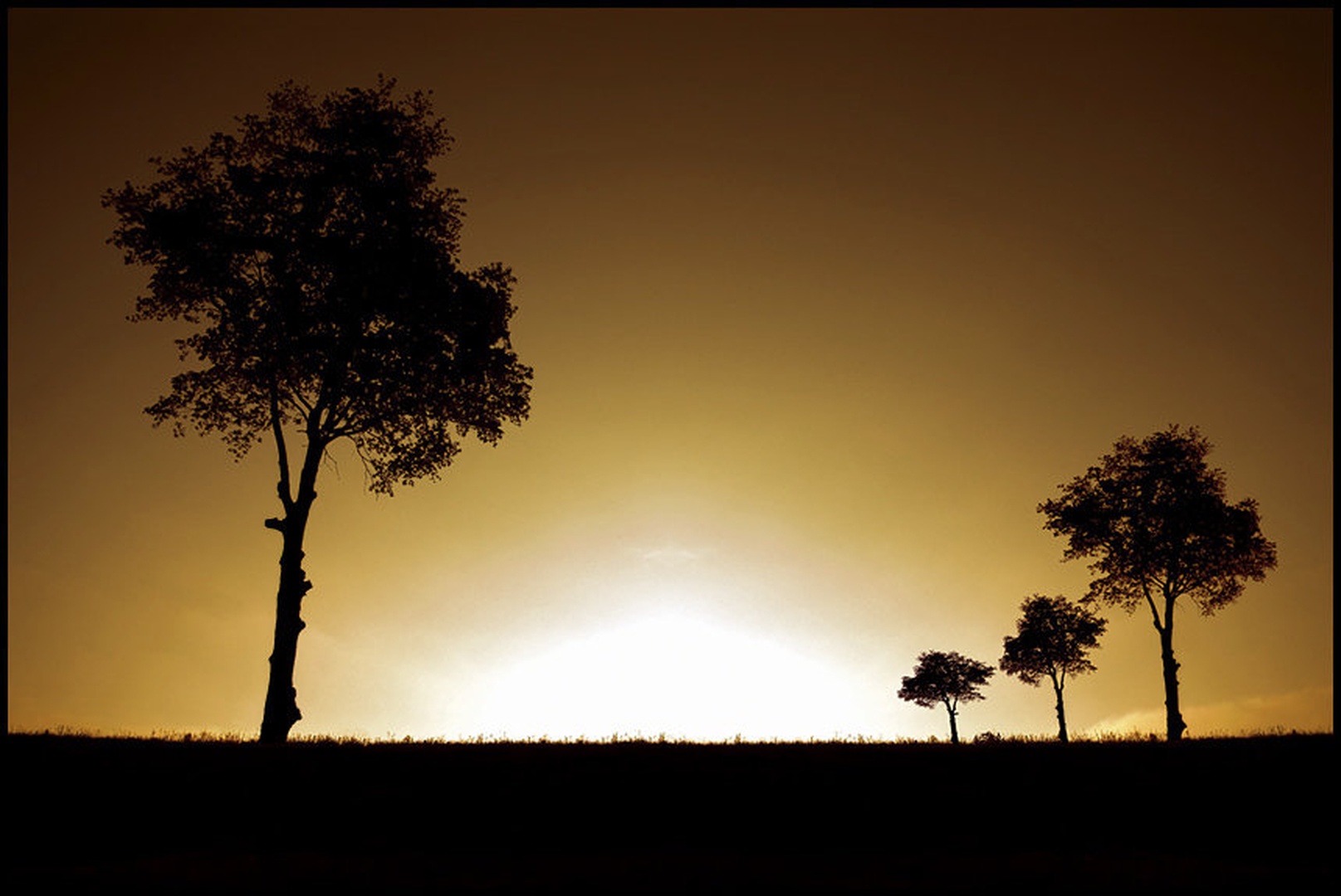 Sunset Quartet by dobran L