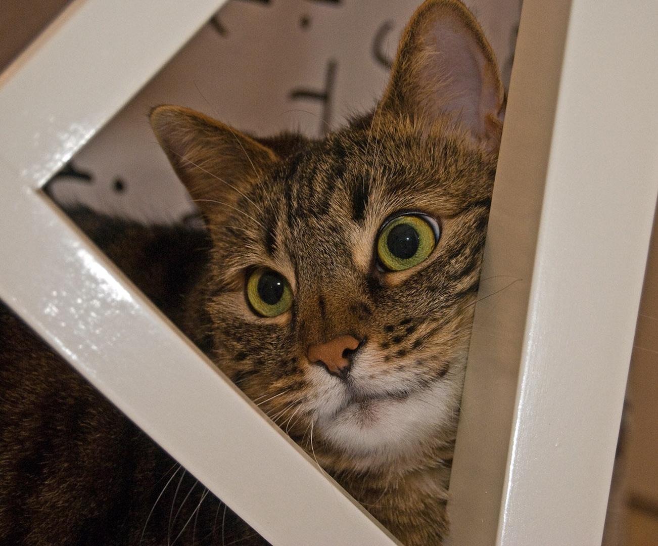 Framed by Matjaž Skrinar