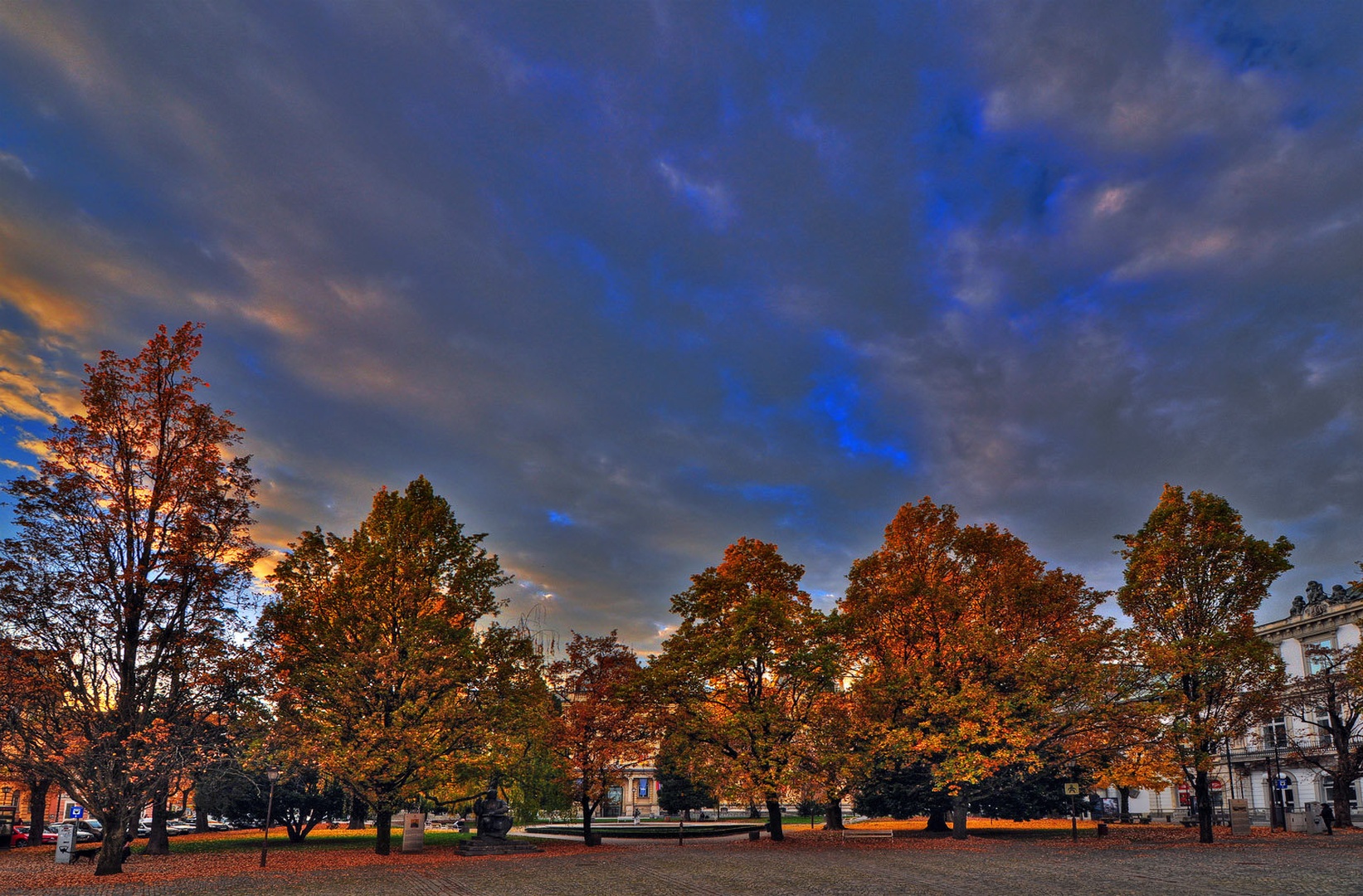 United colours of fall by Matjaž Skrinar