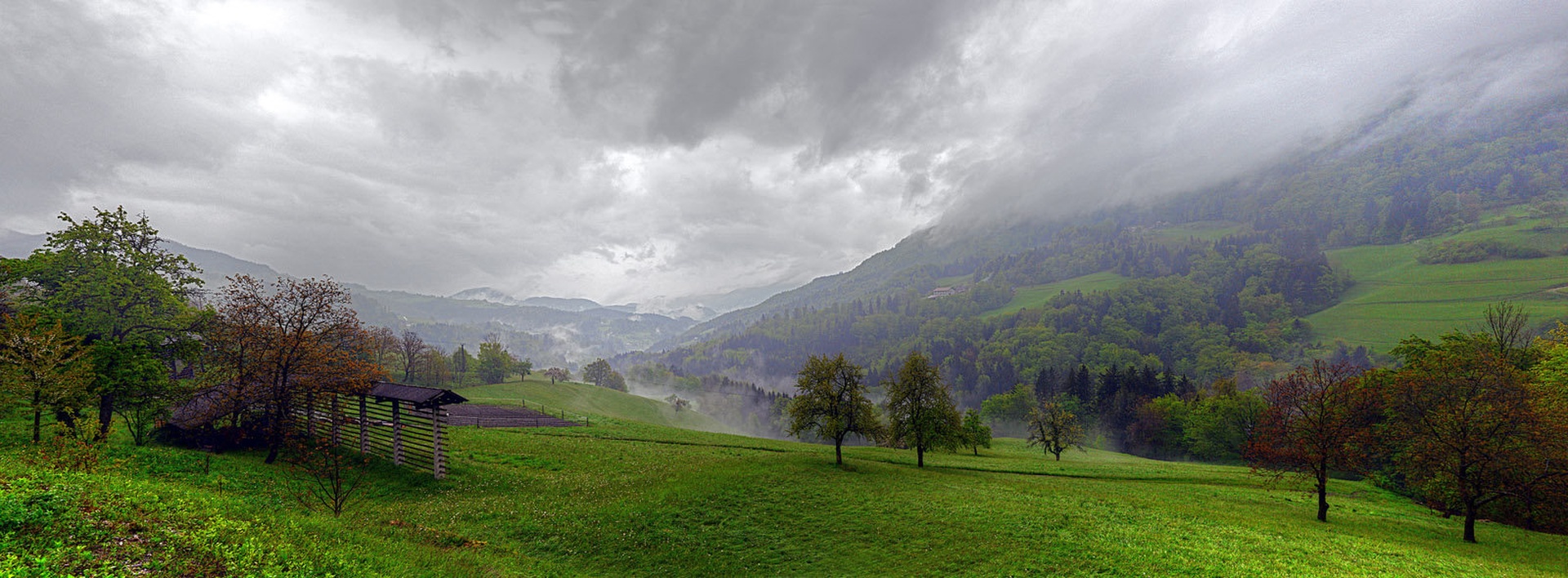 Pogled izpod dežnika by Matjaž Skrinar