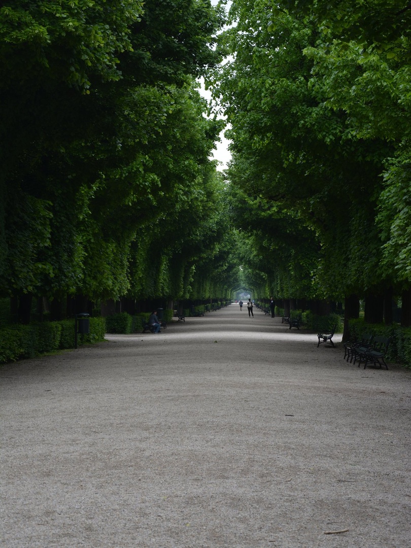 Endless green by Luka Kirn