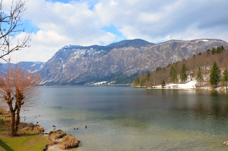 Lepota Bohinja by Lara