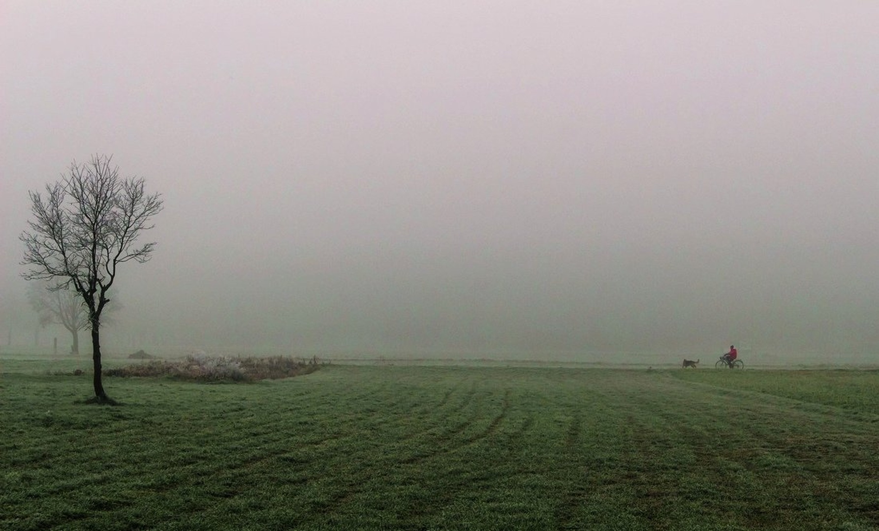 A man,dog&fog by Photorolla