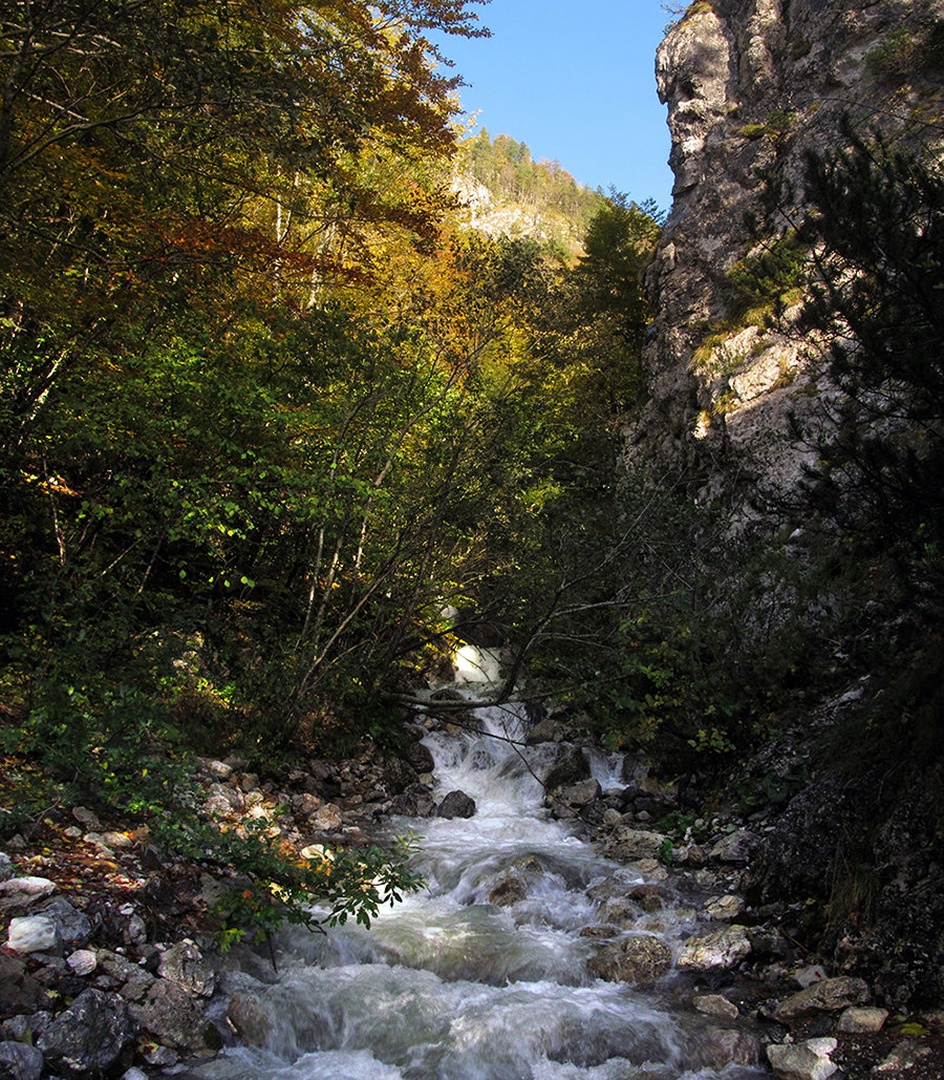 Vidno opozorilo by Janez Meglič