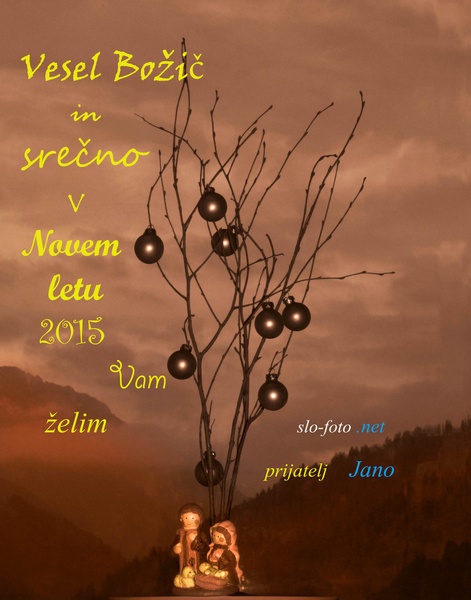 SREČNGA PA ZDRAVGA by Janez Meglič