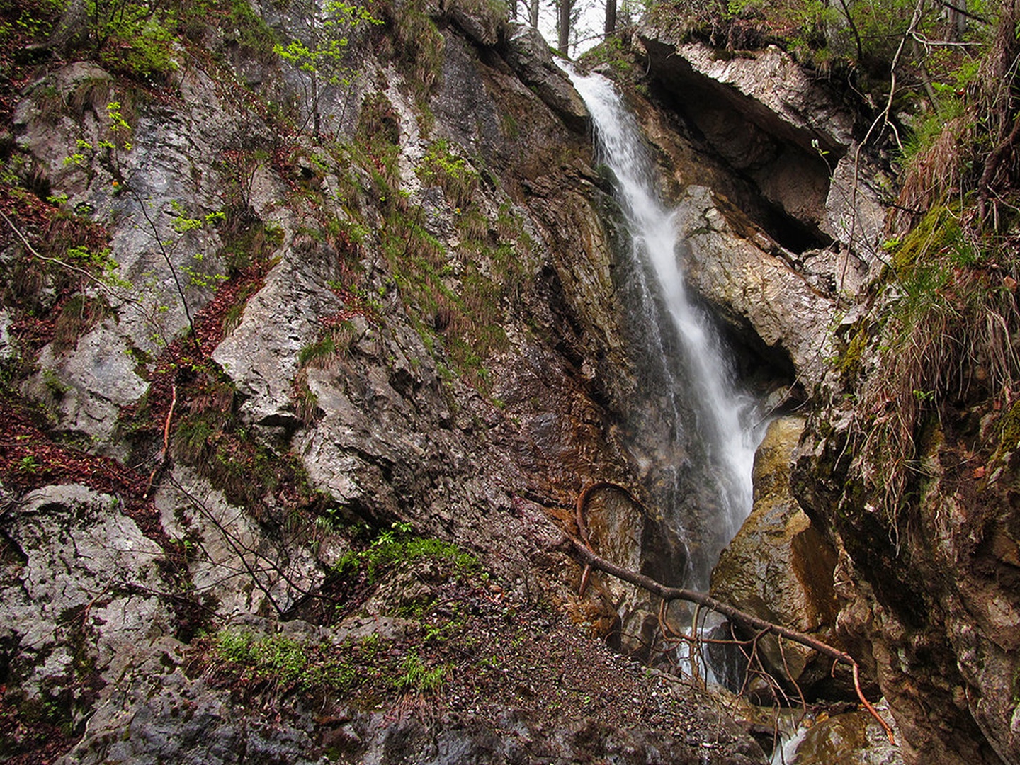 Kraljestvo kač by Janez Meglič
