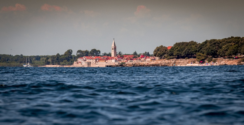 Pogled iz gladine by Robert Hočevar- Hoč