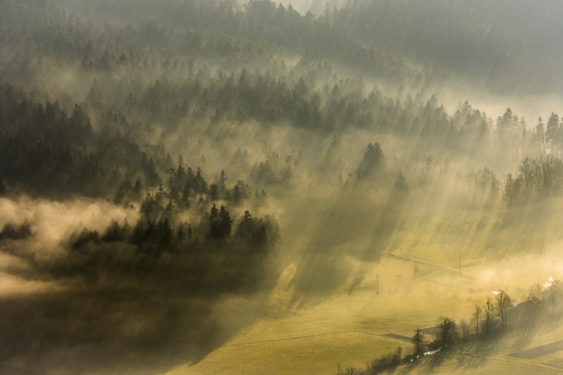 Igra svetlobe in senc by Filip Eremita