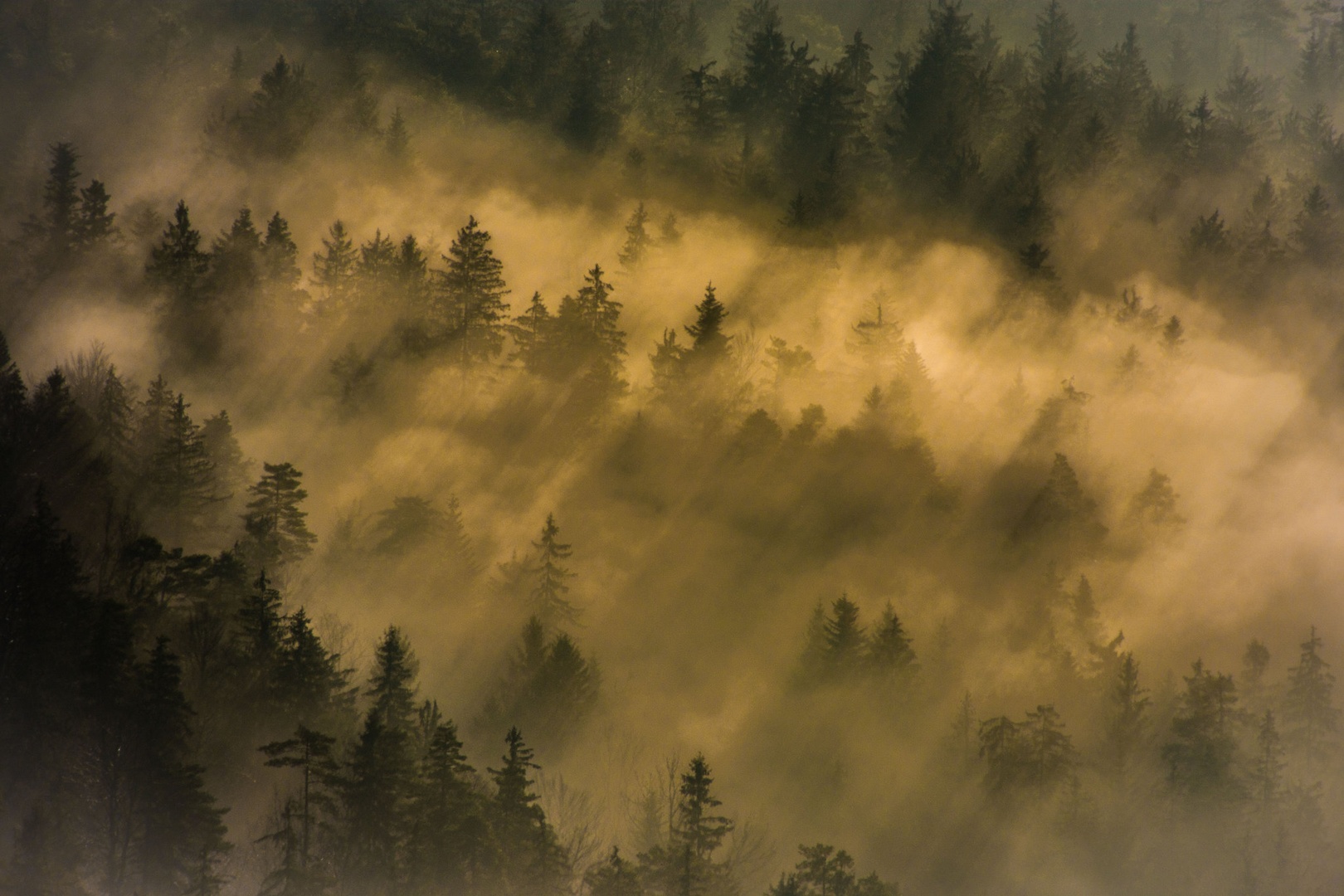 Incoming by Filip Eremita