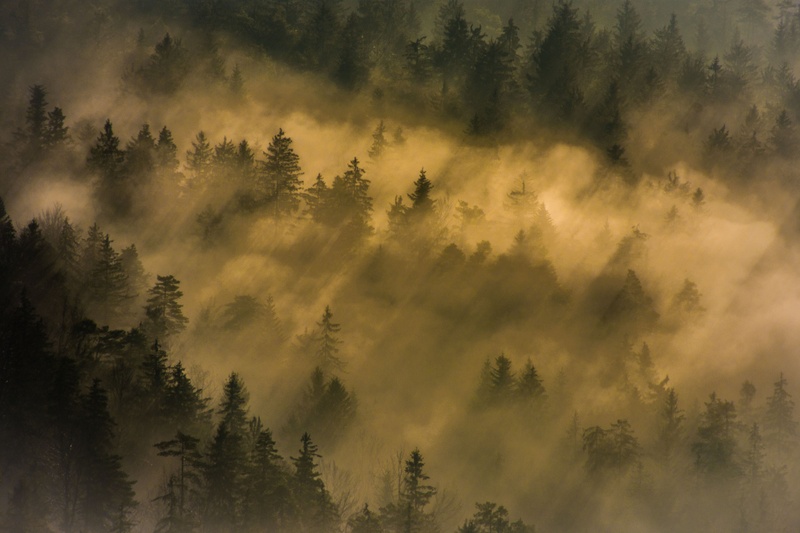 Incoming by Filip Eremita