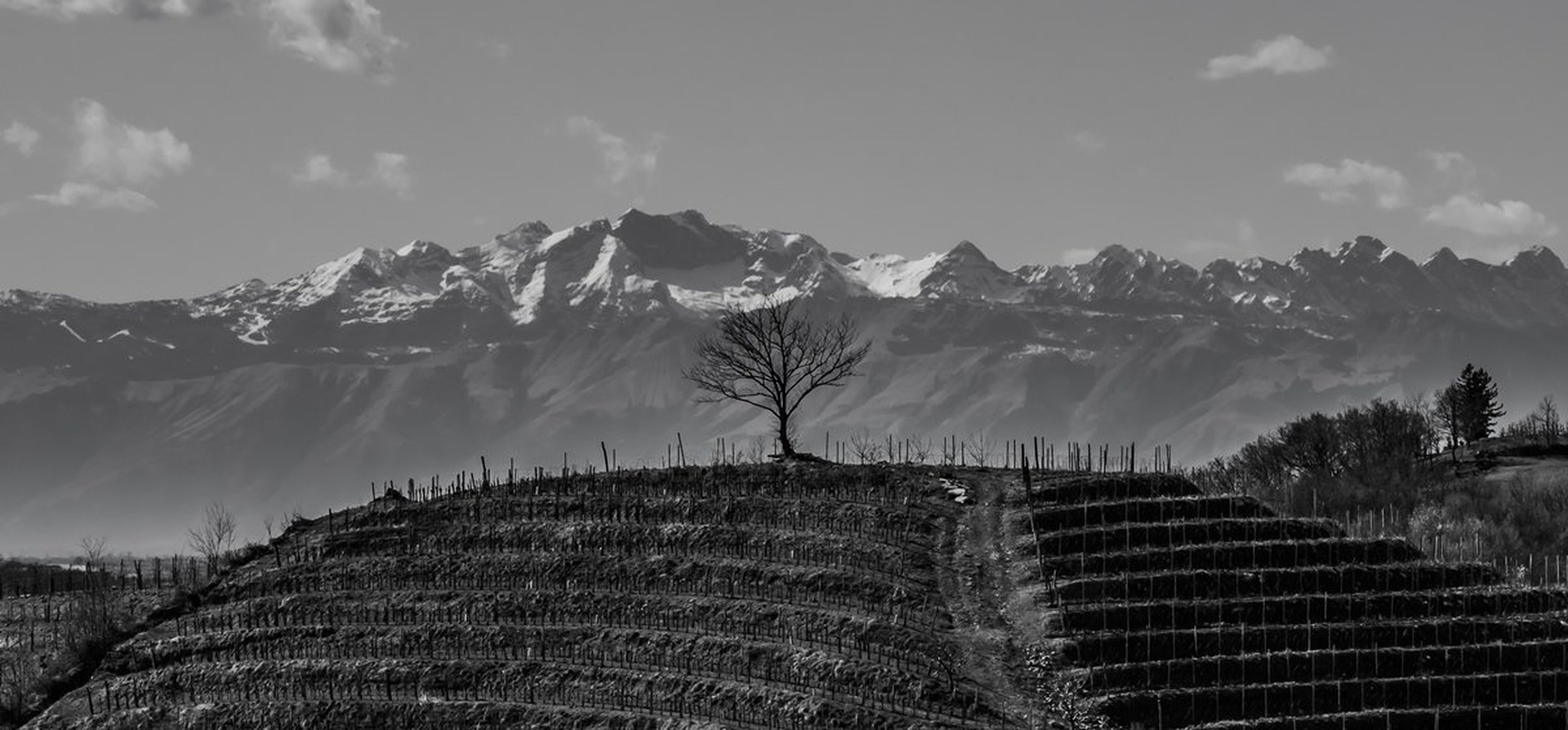 vinograd pred Dolomiti by Danilo Kotnik