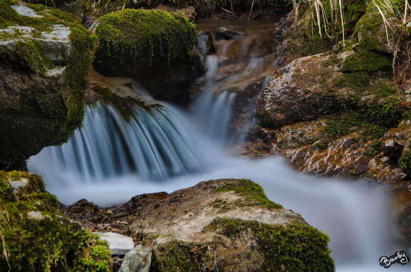 Water by Barbara Tolar
