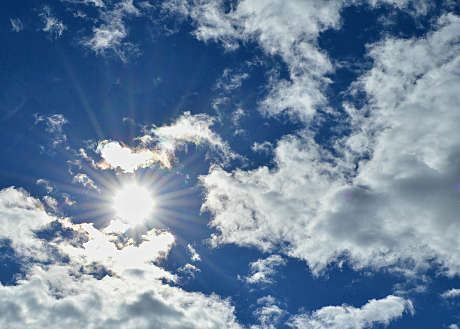 Only sky is the limit by Marina Nikl