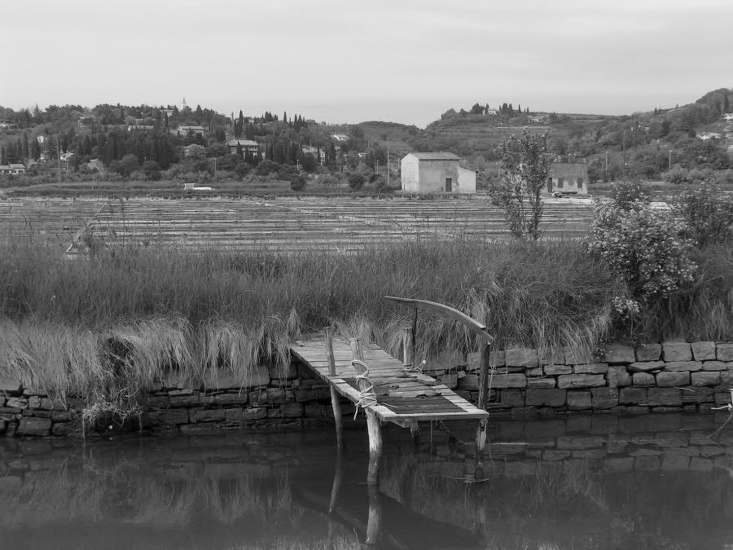Soline... by