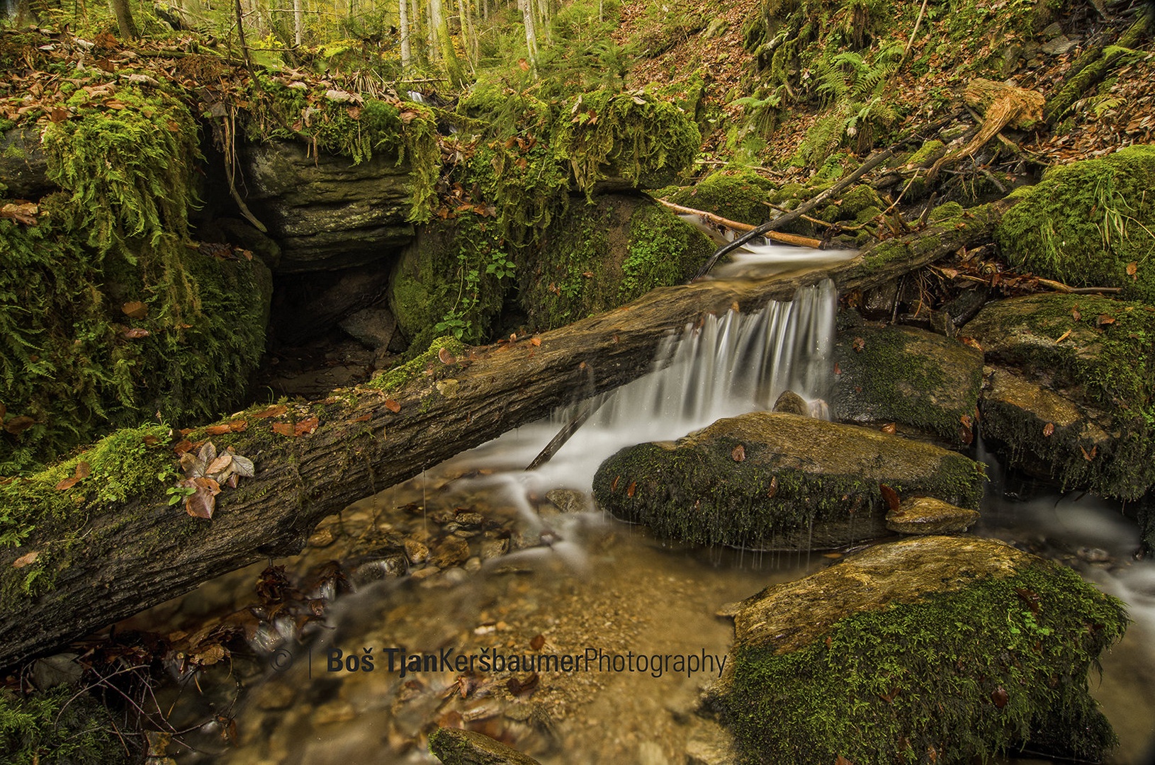 Šoštanjev graben by Boš Tjan Keršbaumer
