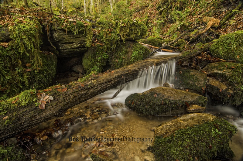 Šoštanjev graben by Boš Tjan Keršbaumer