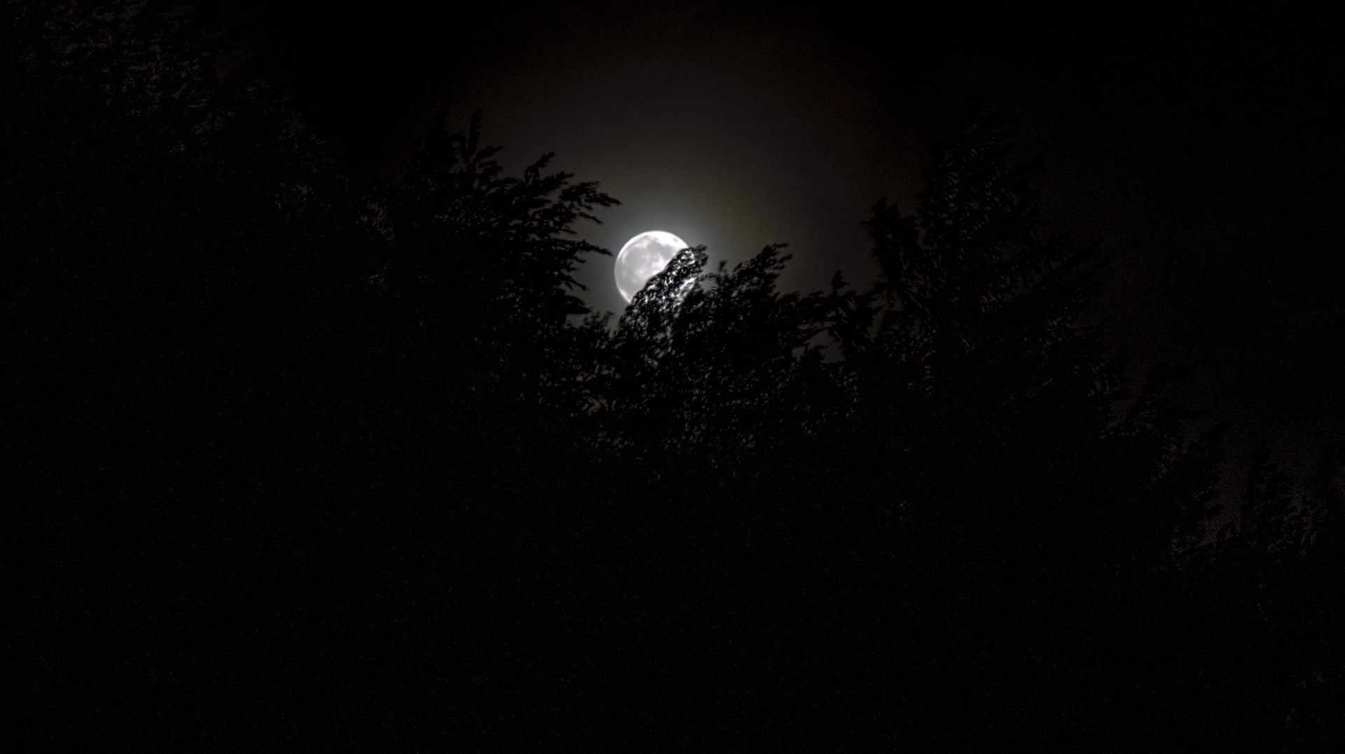 Night watchman by Aleš82