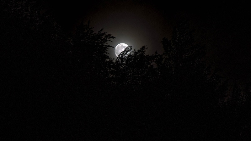 Night watchman by Aleš82