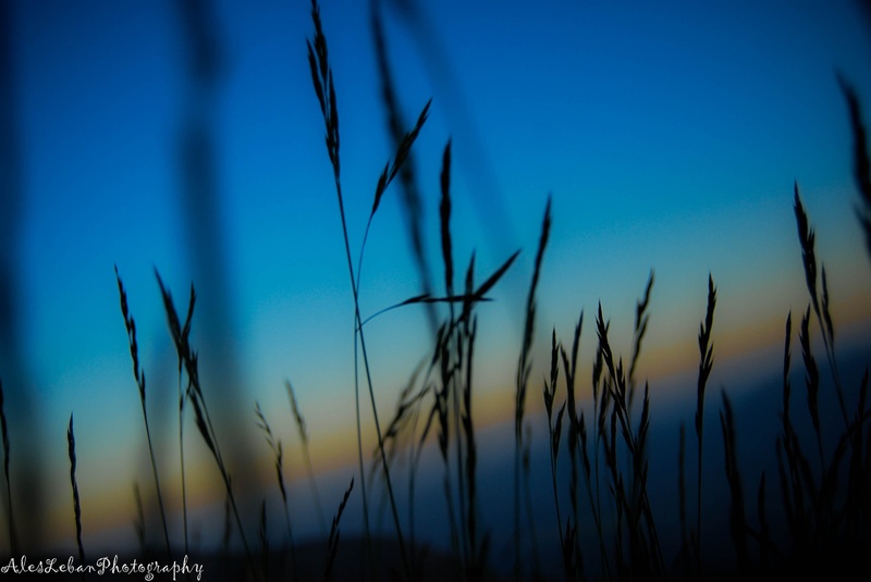 Up to the sky by Aleš82
