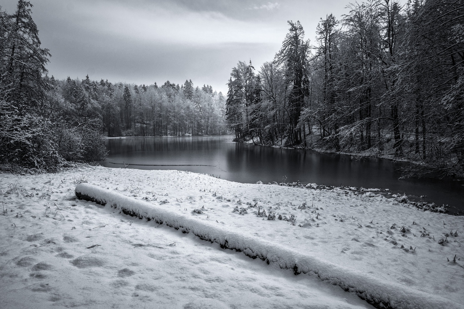 tdfzrh by borut drago