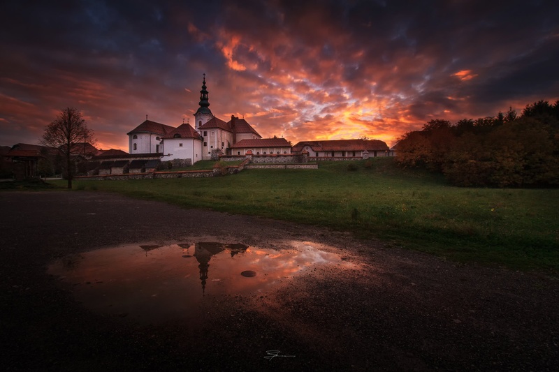 tequila sundown by borut drago