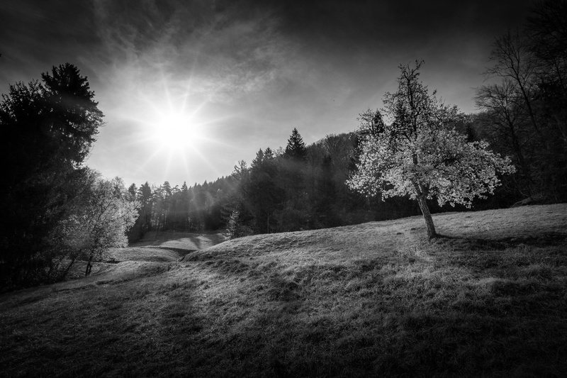 ,l-,.- by borut drago