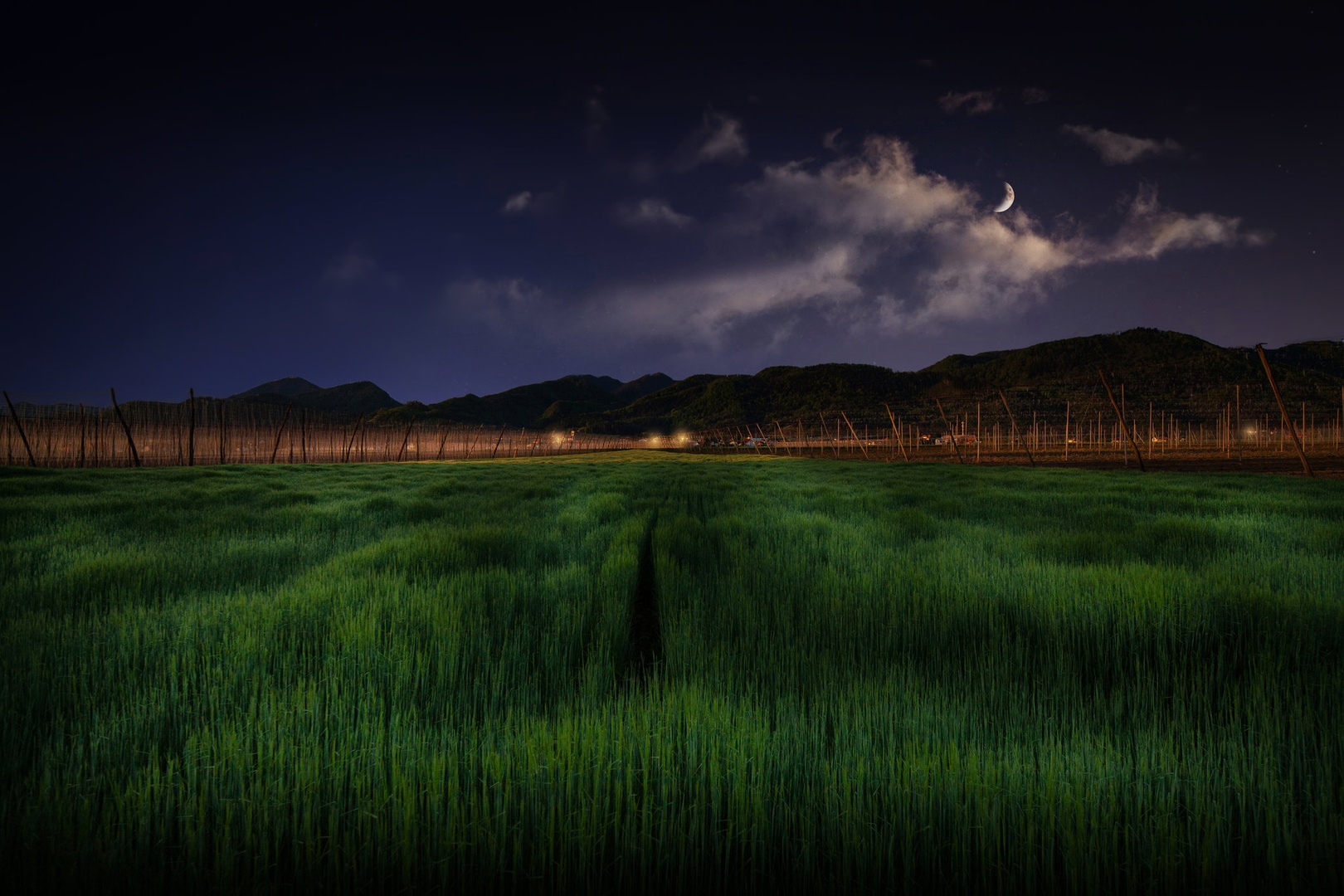 njl,n. by borut drago