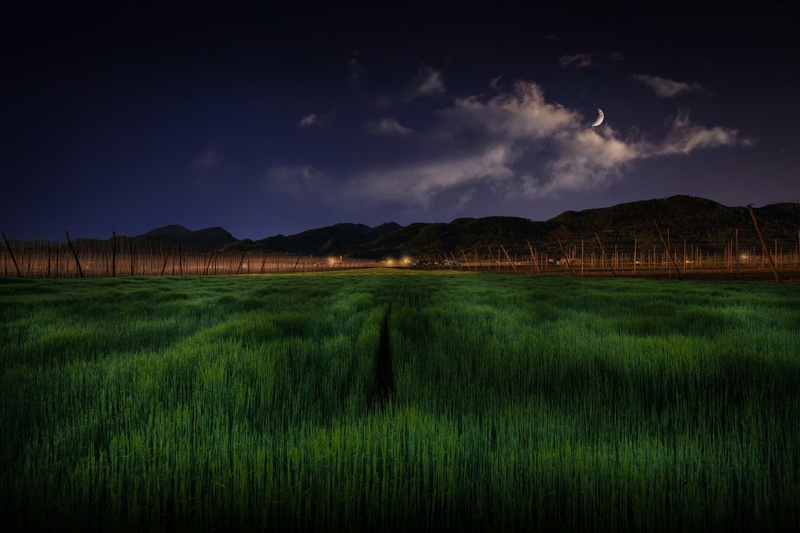 njl,n. by borut drago