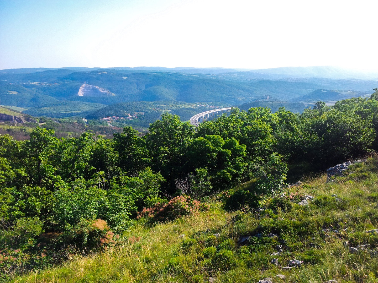 Črni kal by P_B